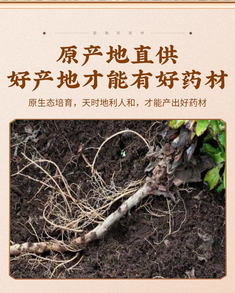 Dried Picrorhiza Root Slices Hu Huang Lian 胡黄连 Traditional TCM Herb 50g Pack key features
