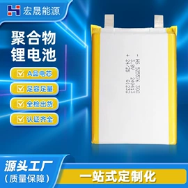 锂电池;服务商品;其他电池