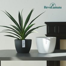 黑胶环保塑料花盆桌面块根热植树脂花盆多肉仙人球蝴蝶兰组合套盆