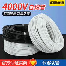 Ϩܲw 4000vwzܹ֬ȼߜع