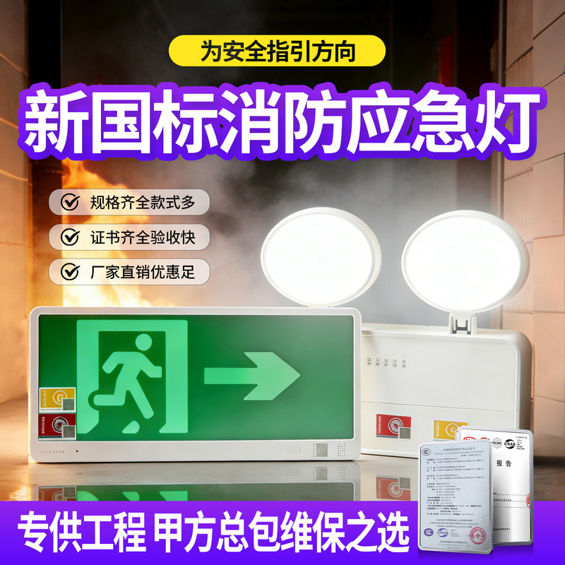Dongjun Fire Emergency Lighting Lamp for Power Outages, Dual-Head Lamp for Home Use, 220V Safety Passage Evacuation Exit Indicator Light Dongjun Fire Emergency Lighting Lamp for Power Outages, Dual-Head Lamp for Home Use, 220V Safety Passage Evacuation Exit Indicator Light