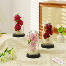 �����õ�廨������ĸ�H���Y�ﲣ����LDE�b�ҹ��ĸ�H���Y��