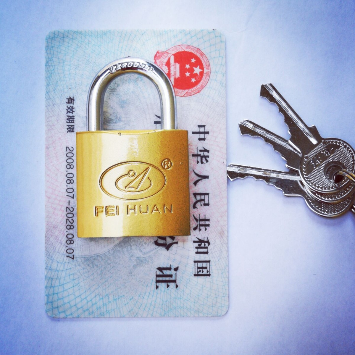 Cerradura de anillo volante cerradura de bloqueo de Internet café cerradura de caja de medidor eléctrico cerradura de cobre cerradura cerradura de gabinete cerradura pequeña cerradura