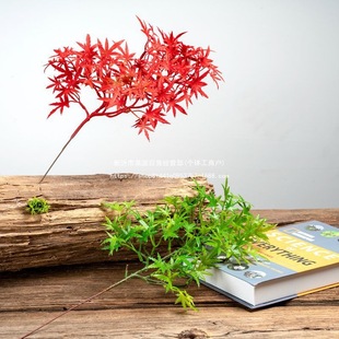 �������_�h����°��ɘ�֦�~���辰�Ĕz���ߘ��b[���쾰����