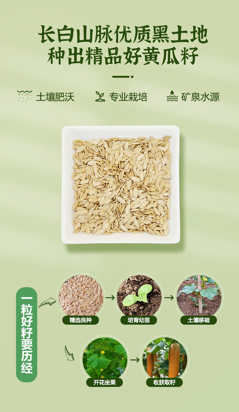 Cucumber Seed Powder Huang Gua Zi 500g Fine Milled Drink Mix quality and texture