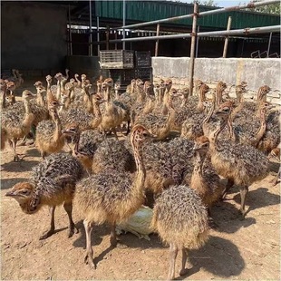 �r�B���w���۷����r�B����w����Ó���r�B����B���^�^�p