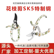 修枝剪刀合金钢园林树枝摘果剪刀家用省力园艺修花修树枝剪刀