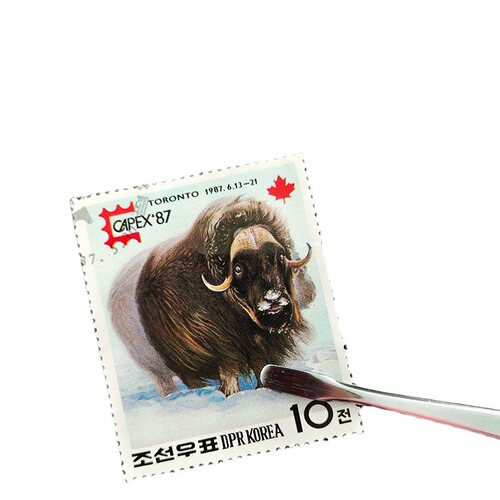 Tweezers long lengthened stamps coins banknotes Huangshan commemorative coin collection stainless steel philatelic tools factory direct sales