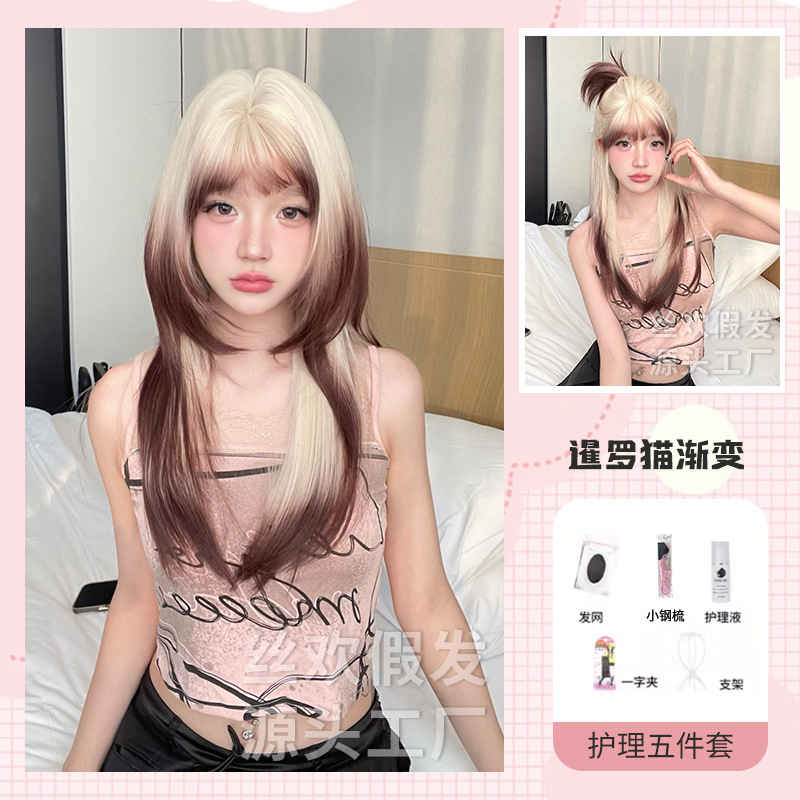 샴 고양이 그라데이션 + 케어 세트