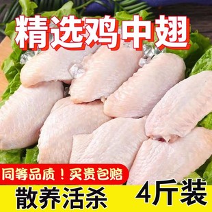 �r���u����4���u������u�������r��ɢ�B����u����2�����l�r