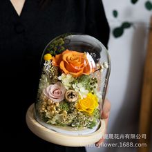 亚马逊跨境电商永生花成品玻璃罩摆件七夕情人节礼物送女友老婆