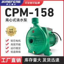 家用CPM系列离心式清水泵热水器地暖循环泵自来水增压电泵