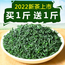 【赠送1斤】2022年新茶贵州高山云雾绿茶浓香型散装毛尖茶叶1000g