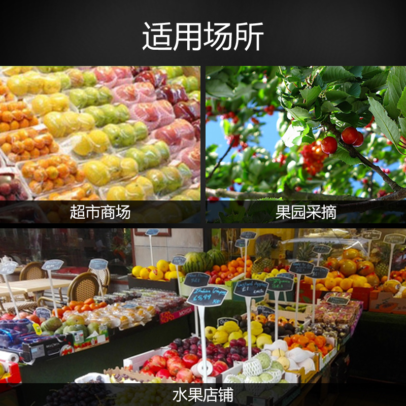 Disposable PET fresh produce tray transparent suction plastic vegetable fruit tray supermarket thick preservation plate packing box