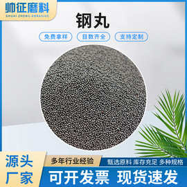 厂家批发国标合金铸钢丸 抛丸喷砂钢砂钢丝切丸 配重钢丸钢砂铁砂