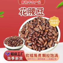 云南农家芸豆花腰豆散装真空包装红紫花饭豆花豇豆五谷杂粮批发