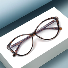 框架眼镜;太阳镜;老花镜