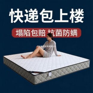 ϯ��˼���|��ͥܛӲ���ê������ɴ��|�Ӻ�20cm���zҬ�س��ⷿ���|