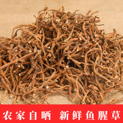 fresh Farm Houttuynia tea 500g Guizhou specialty wild Zhe Ergen Flood damage Houttuynia