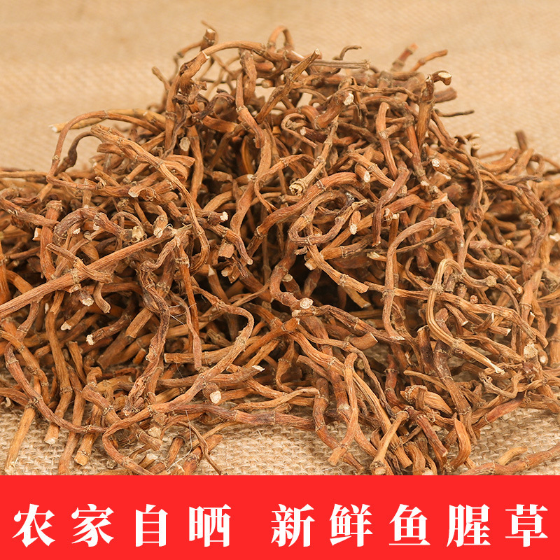 fresh Farm Houttuynia tea 500g Guizhou specialty wild Zhe Ergen Flood damage Houttuynia