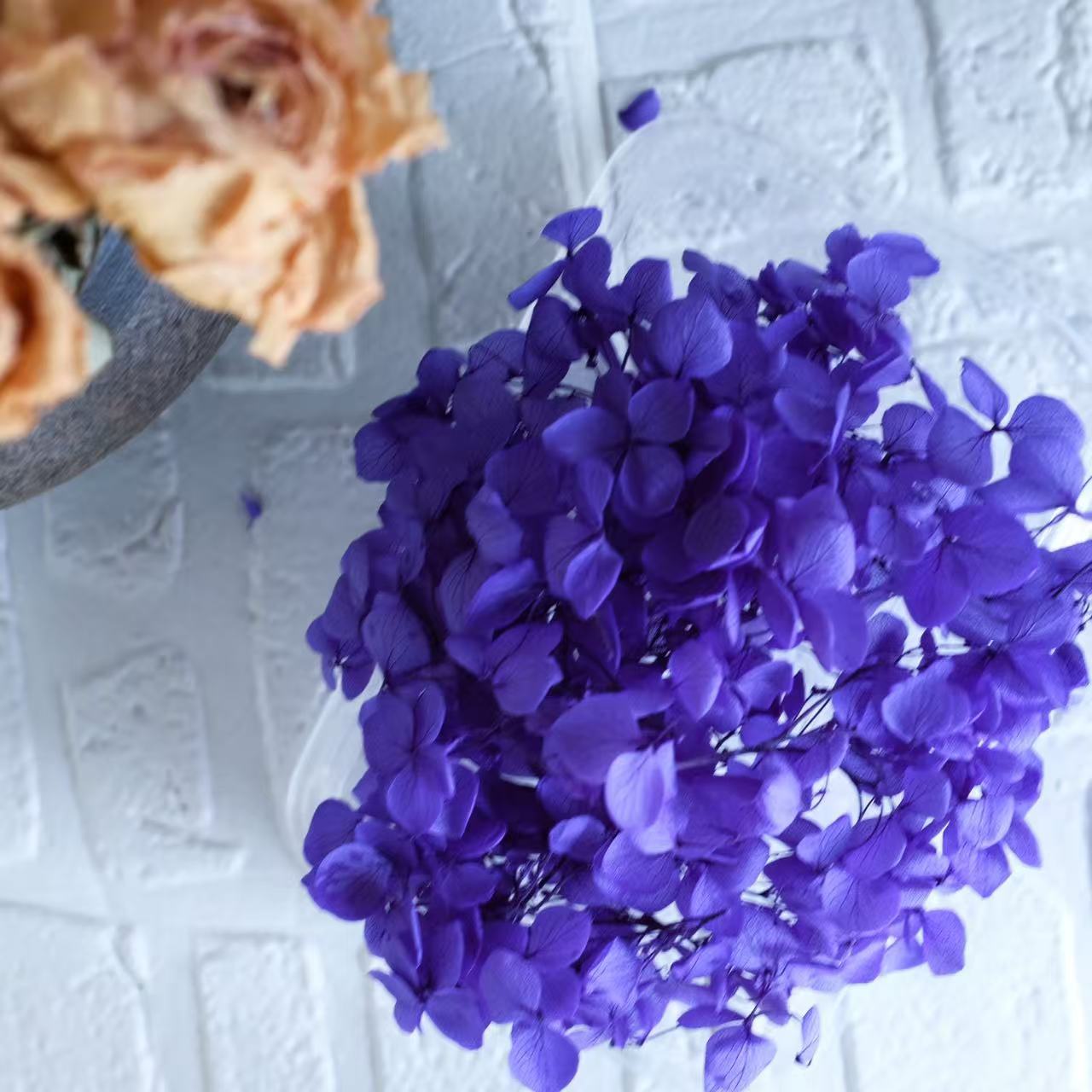 bleu foncé / 5G en boîte