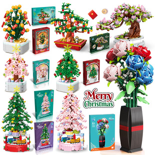 Դ�^�S�҃�ͯ����ƴ�bС�w���eľ�������}�Q����Ә����Էeľ���