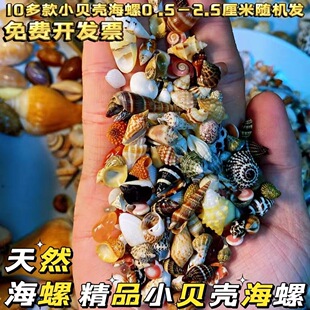 ��Ȼ����С����ؐ���~���쾰diy����Ư��ƿ���ϼҾ��b[���Y��