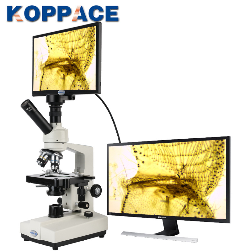 批发40X-1600X电子生物显微镜200万像素11.6寸屏中小学生教学实验