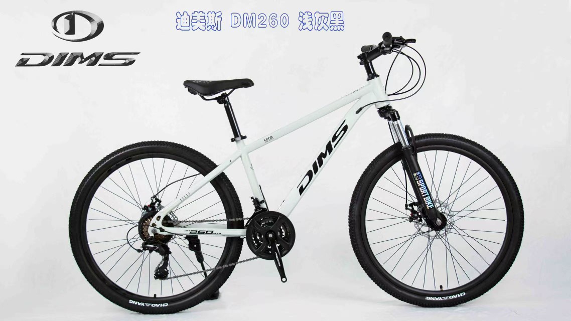 Dimas High-End Mountain Bike Adult Mountain Bike