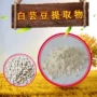 样品淀粉酶白芸豆提取物