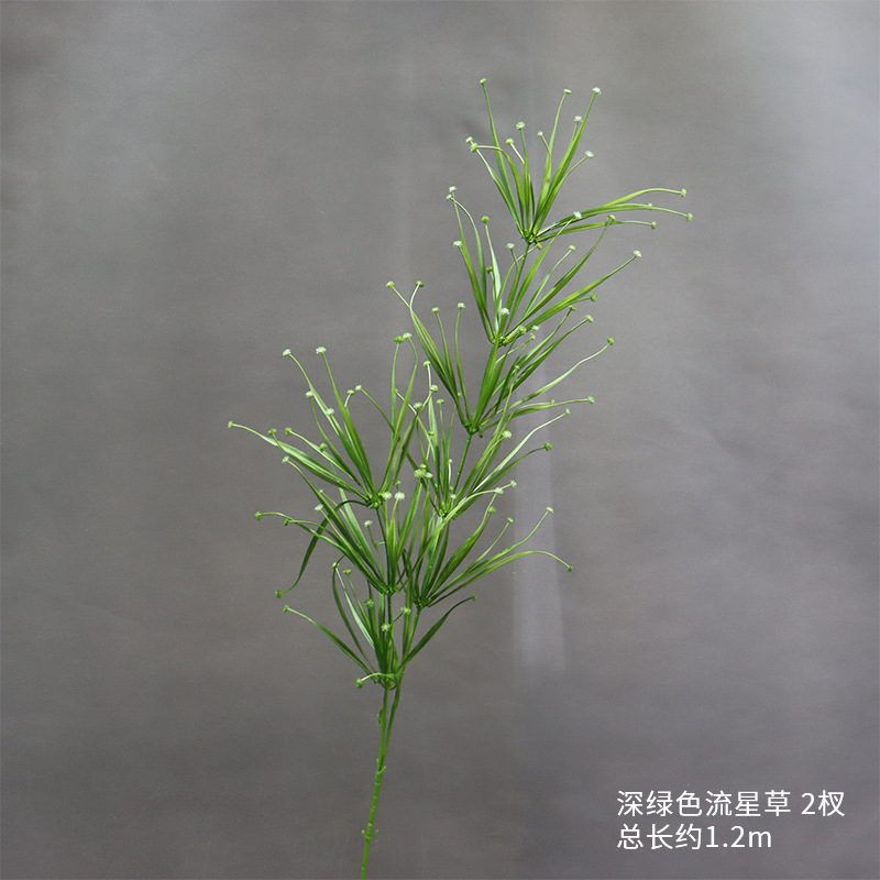 Hierba de meteorito verde oscuro