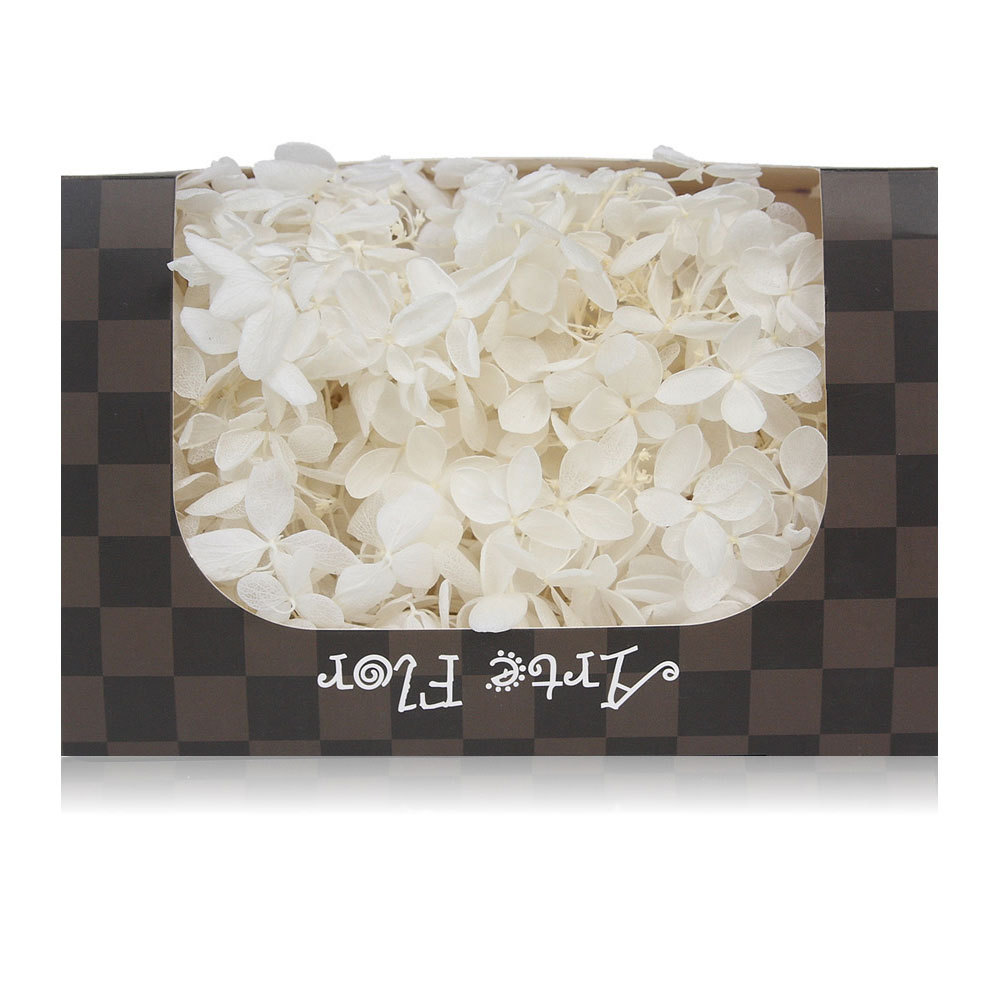 나무 수국 영원한 꽃-흰색 20g