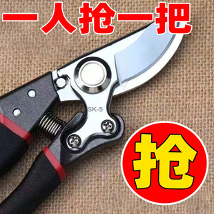 German Imported Steel Tree Scissors, Fruit Tree Scissors, Pruning Scissors, Household Flower and Wood Grape Pruning Pickaxe Scissors