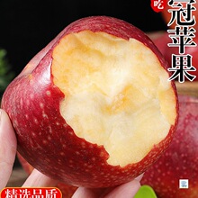 正宗陕西秦冠苹果新鲜水果当季整箱粉面沙甜宝宝辅食挂泥萍果包邮