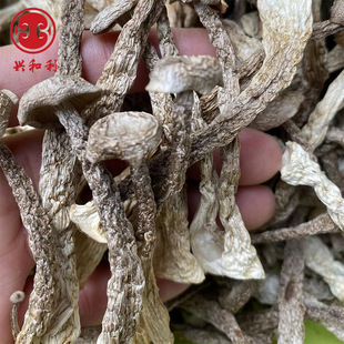 ��؛¹�׹����״�๽��Ƀ��ذl؛�㹽500g�Ƶ���偹������l