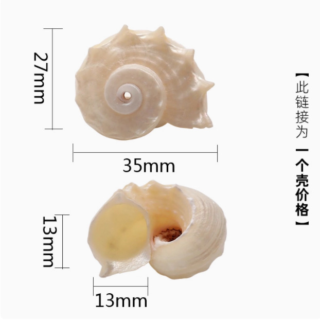 寄居蟹替换壳~房子大号小号天然贝壳海螺壳摆件装饰鱼缸造景备用|undefined