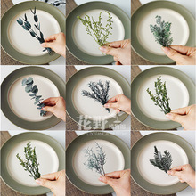 ��Ұ��֧|���D÷����ǧ�ӽ��������ɻ�diy���ϰ��Gɫ���~ֲ��˱�