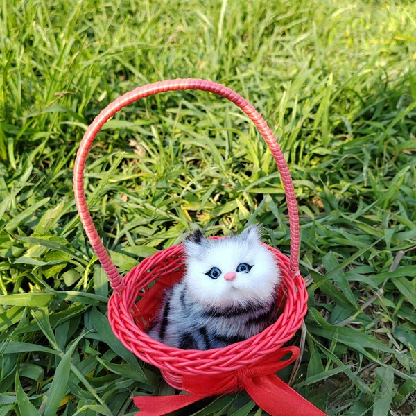 Will be called Dahong Capital Basket Blue Cat Cat