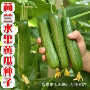 ���m�o��ˮ���S�ϷN���M��С�S�ϷN�ѹ������ļ������̨�����߲�