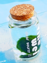 包邮moss绿藻球水藻球生态玻璃瓶微景观创意迷你水培植物水底盆栽