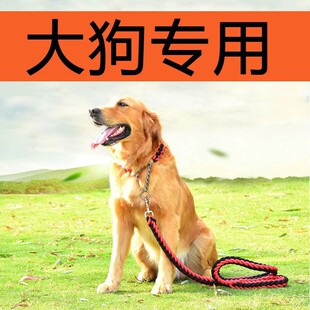 ����Ȯ�Ȧ�����K����޹��K�Ӵ󹷽�ë����������������_�˹��K