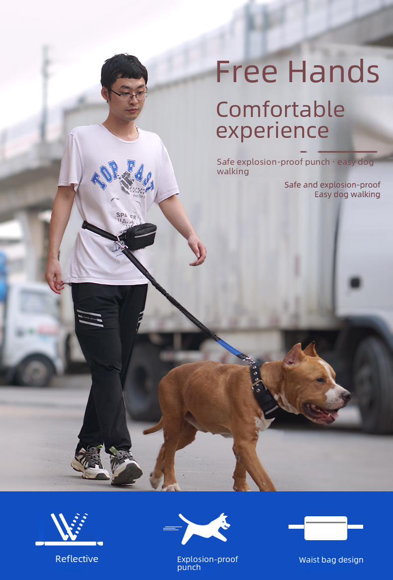 Pet Leash Image 1