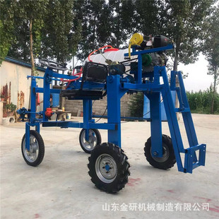 �߲�����С����ș�C�r����݆��݆��ș�C�߼��ۯB�U���ݜ��x���F�C