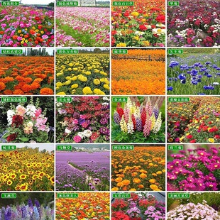 �����С����̫ꖻ���˹��Ұ���M�ϴ��l�S�ҷ��С�����ܷN��