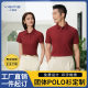 Summer short-sleeved corporate business Polo shirt shirt collar breathable group clothing custom T-shirt tooling embroidery printing