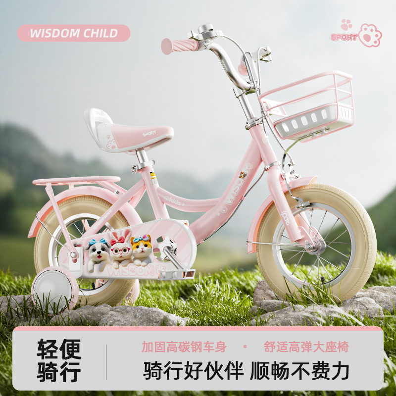 Bicicleta para niños, niños y niñas 2-6-8-9 años, bebé femenino, bicicleta, princesa, bicicleta, bicicleta, bicicleta de 2 ruedas