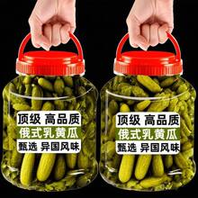 俄式酸黄瓜俄罗斯风味酸黄瓜商用俄式乳黄瓜速食解腻饭菜汉堡食材