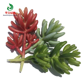 仿真多肉植物辣椒果家居客厅摆件肉肉花卉盆景盆栽植物墙绿植配材
