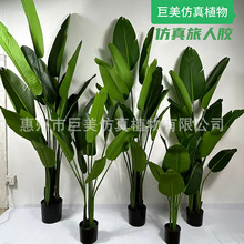 �������˽����� ���˽������B�҃��bGֲ ��������辰�͏d�[��