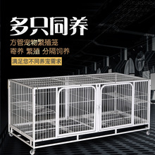 ؈�\�����ӷ�ֳ�����\���ö��ӹ��\�����չʾ؈����B؈����ĸ�\